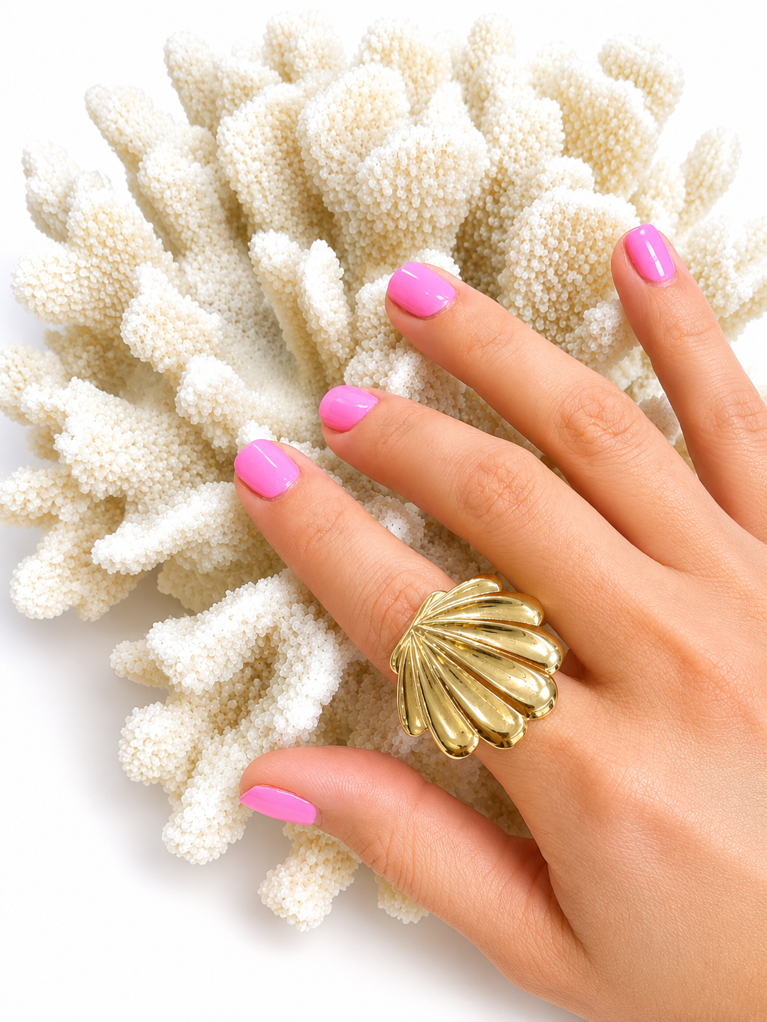 ANILLO CONCHA