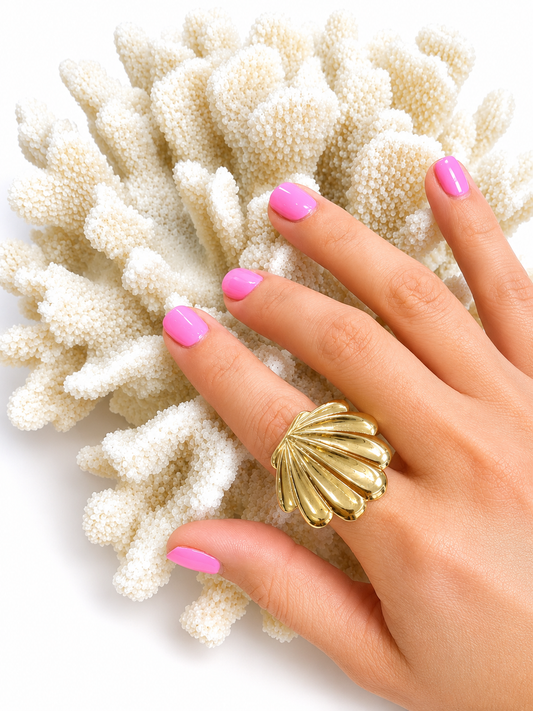 ANILLO CONCHA